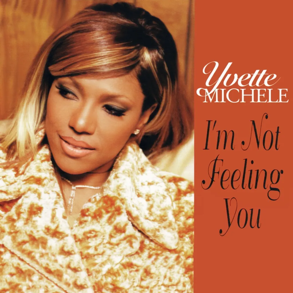 I'm Not Feeling You by Yvette Michelle cover