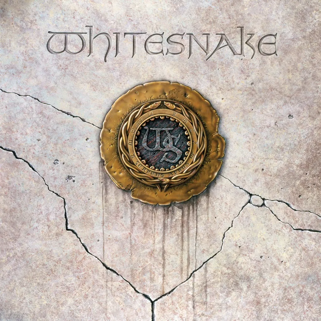 Give Me All Your Love by Whitesnake cover