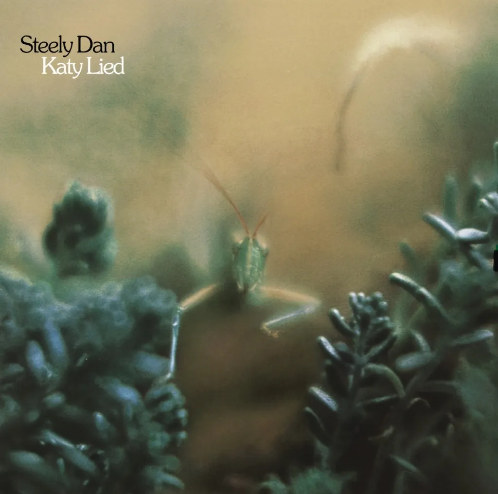Katy Lied by Steely Dan cover