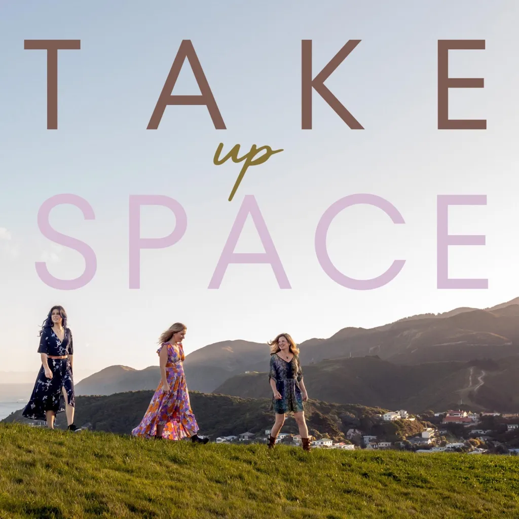 Take Up Space by Megan O'donovan cover