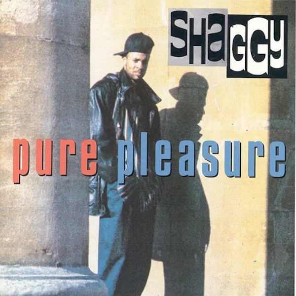 Boombastic / Pure Pleasure by Shaggy cover