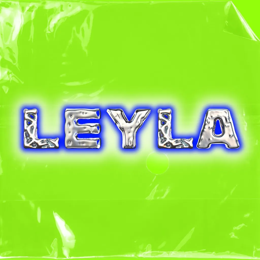 Leyla by Frankie Venter cover