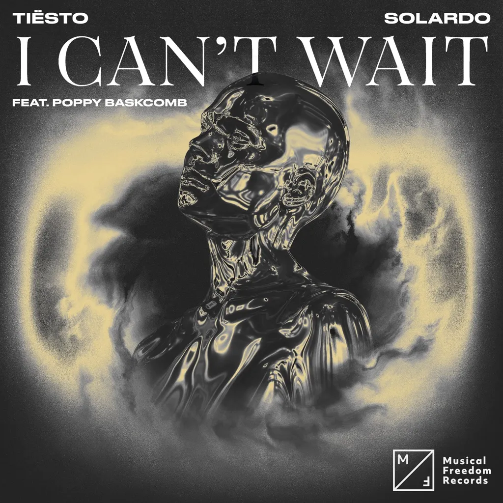 I Can't Wait by Tiësto And Solardo feat. Poppy Baskcomb cover