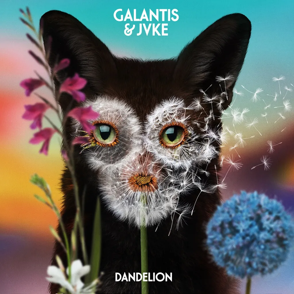 Dandelion by Galantis And JVKE cover