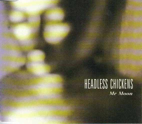 Mr Moon by Headless Chickens cover