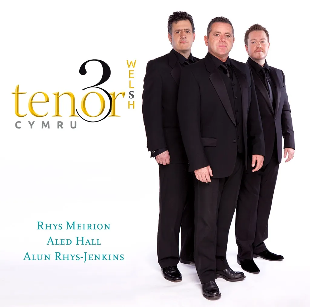 You'll Never Walk Alone by The Three Tenors cover