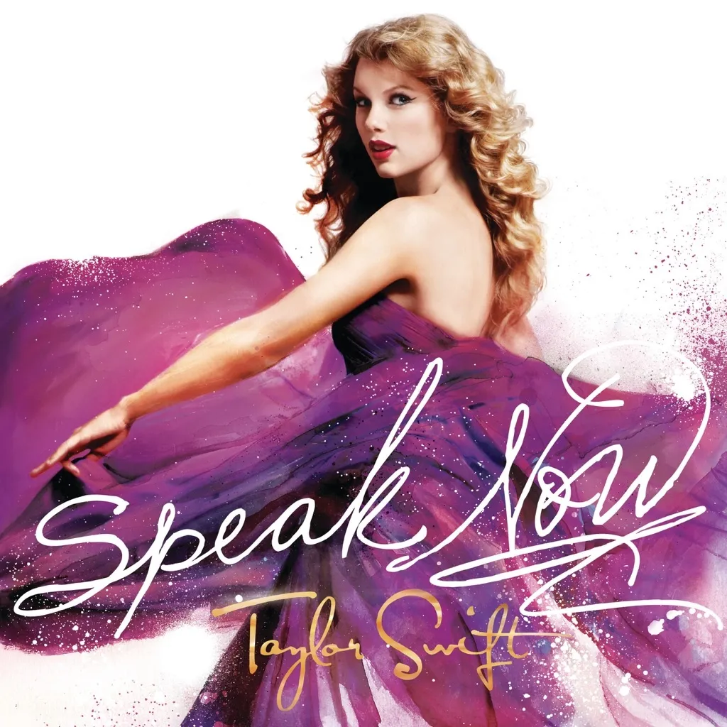 Speak Now by Taylor Swift cover