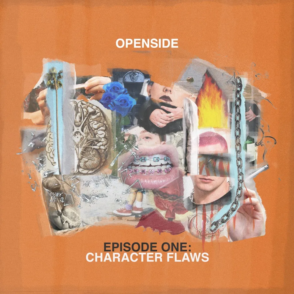 Character Flaws by Openside cover