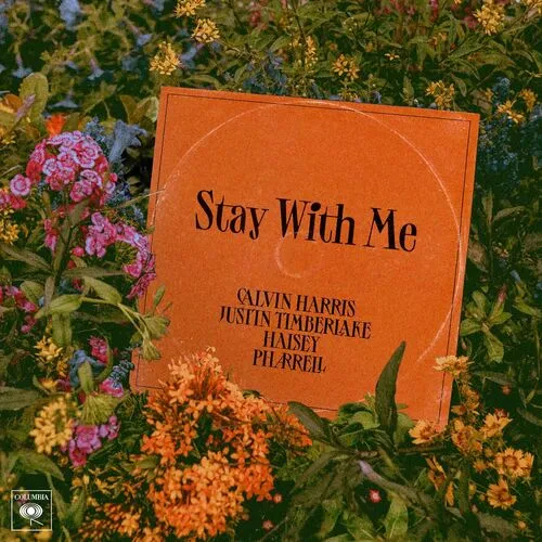 Stay With Me by Calvin Harris feat. Justin Timberlake, Halsey And Pharrell Williams cover