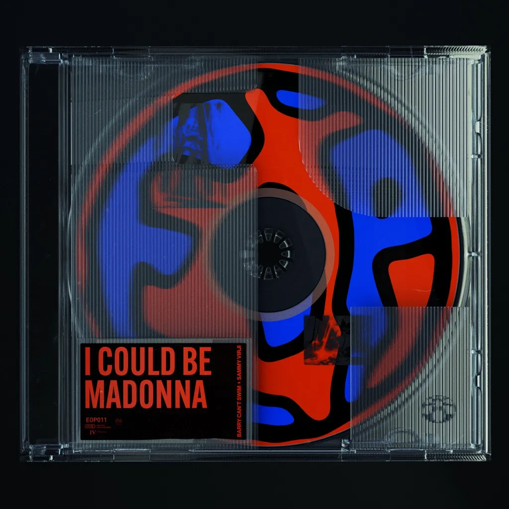 I Could Be Madonna by Barry Can't Swim And Sammy Virji cover
