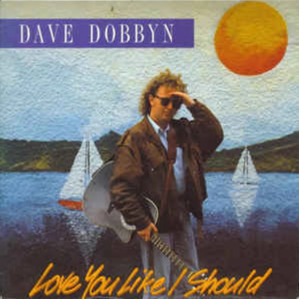 Love You Like I Should by Dave Dobbyn cover