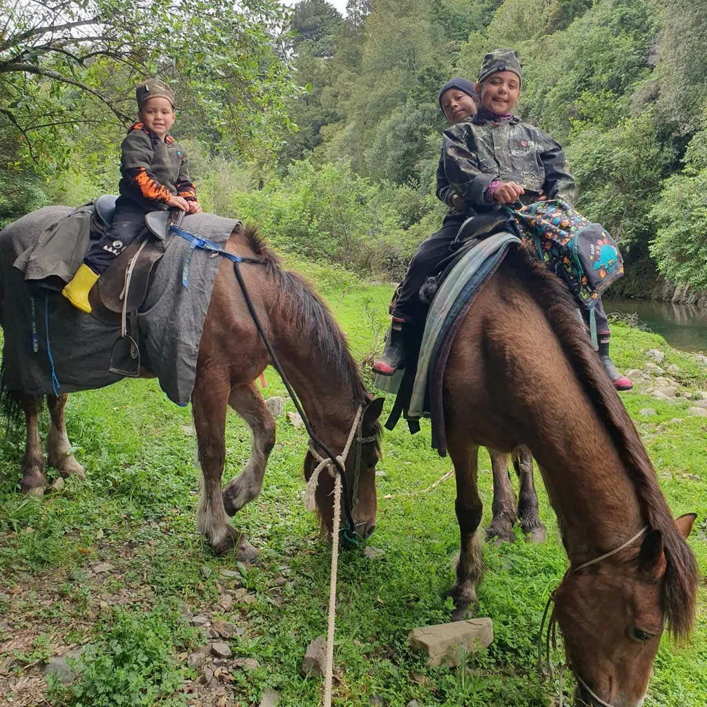 Meanest Drive On The 35 by Te Mauri Amoroa Valley Hunter cover