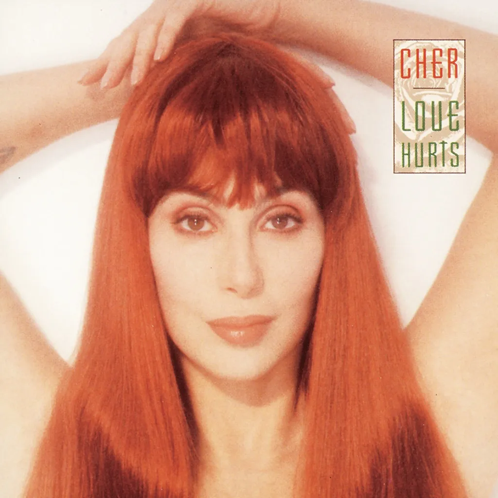 Love Hurts by Cher cover