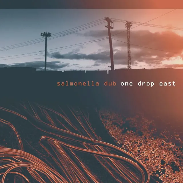 One Drop East: Outtakes & Remixes by Salmonella Dub cover
