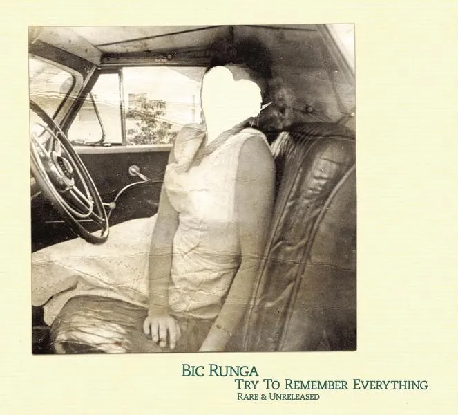 Try To Remember Everything by Bic Runga cover