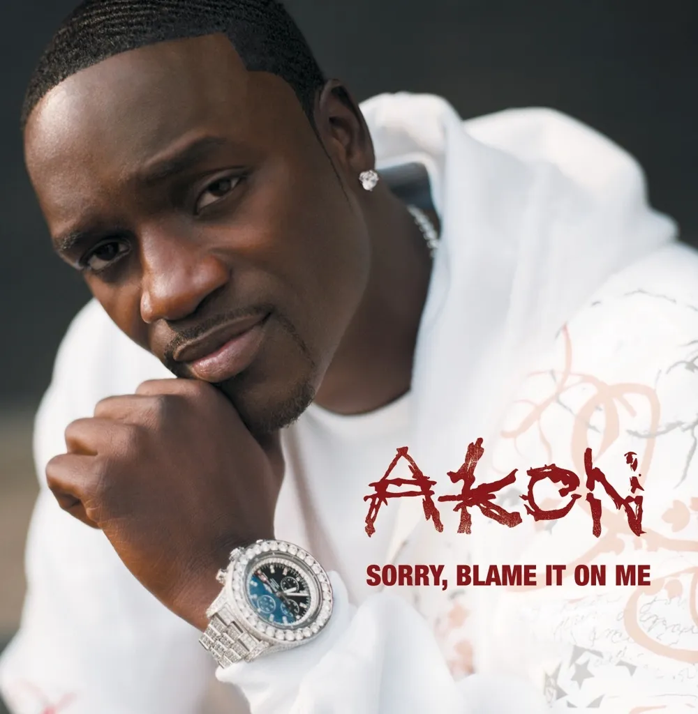 Sorry, Blame It On Me by Akon cover