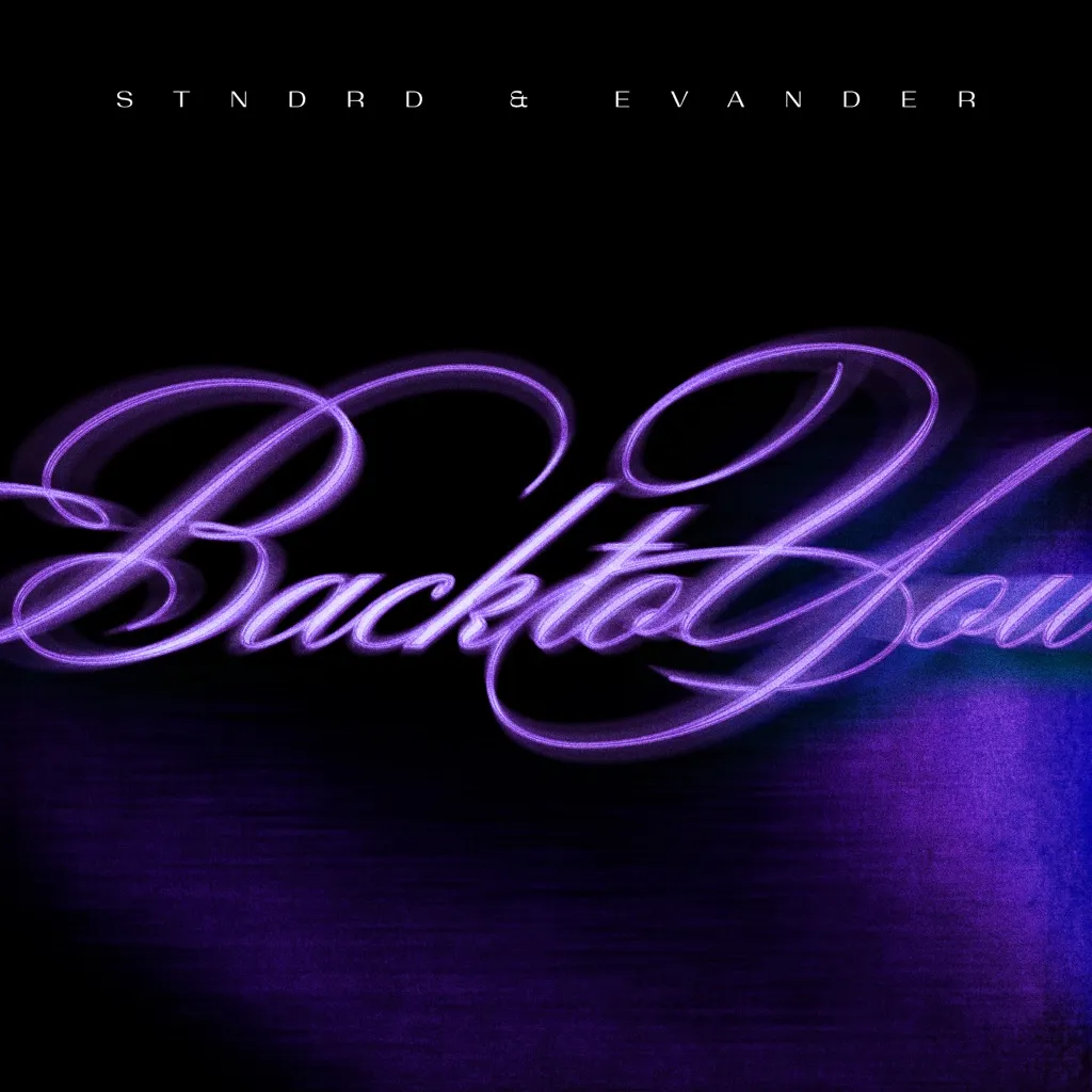 Back To You by STNDRD And Evander cover