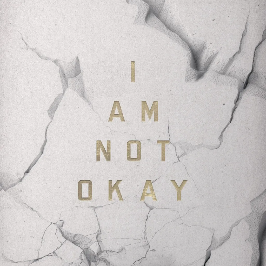 I Am Not Okay by Jelly Roll cover