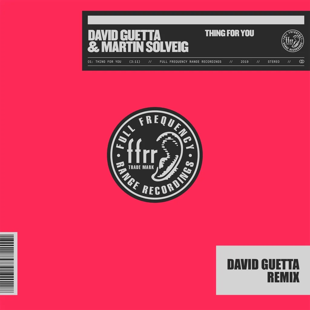 Thing For You by David Guetta And Martin Solveig cover