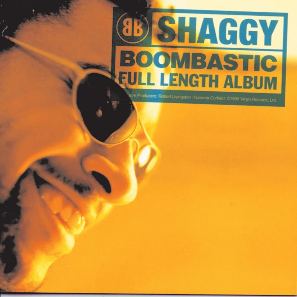 Boombastic by Shaggy cover