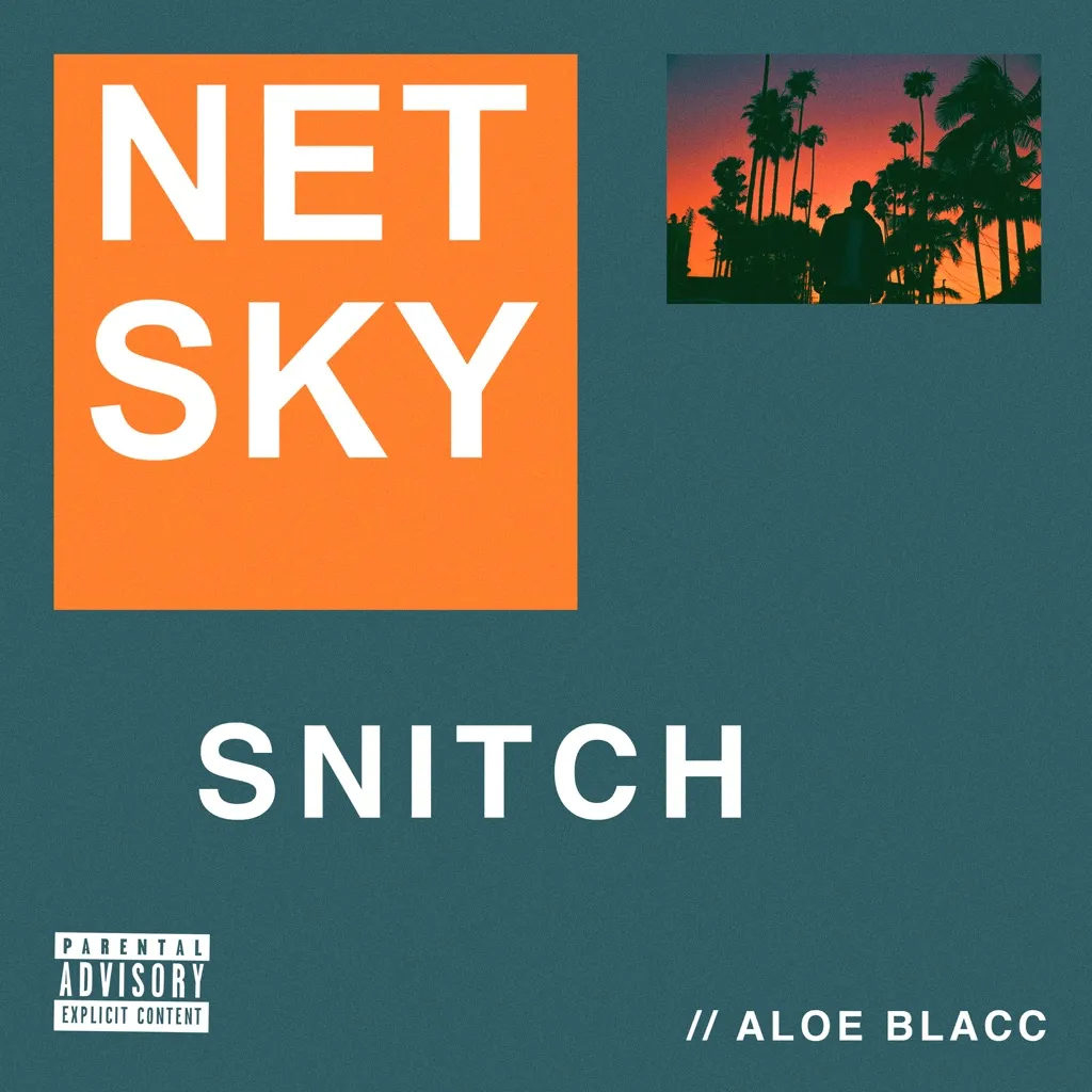 Snitch by Netsky feat. Aloe Blacc cover