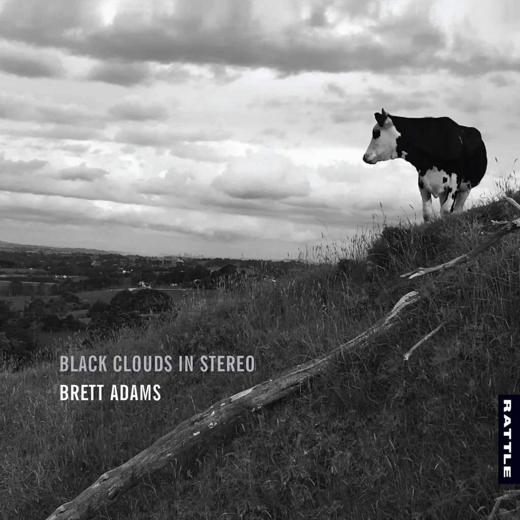 Black Clouds In Stereo by Brett Adams cover