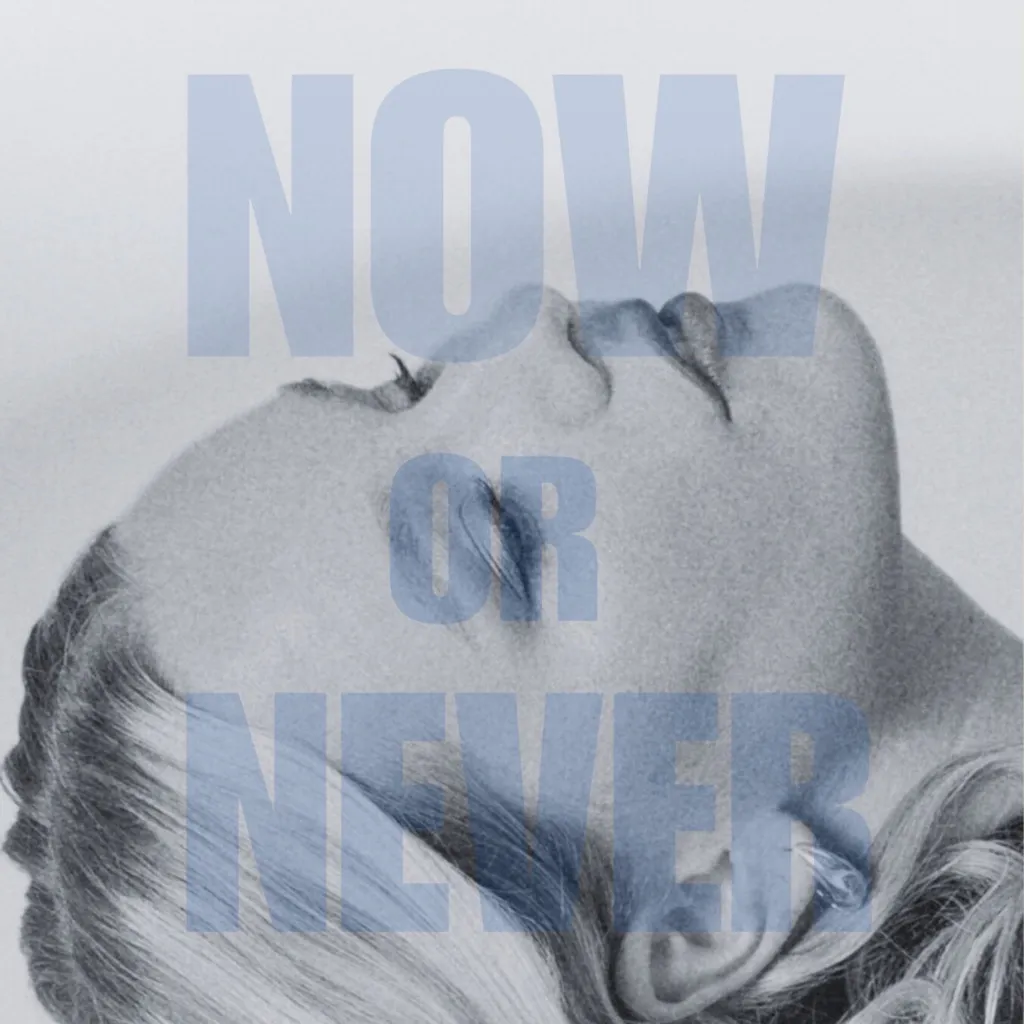 Now Or Never by Georgia Bradley cover