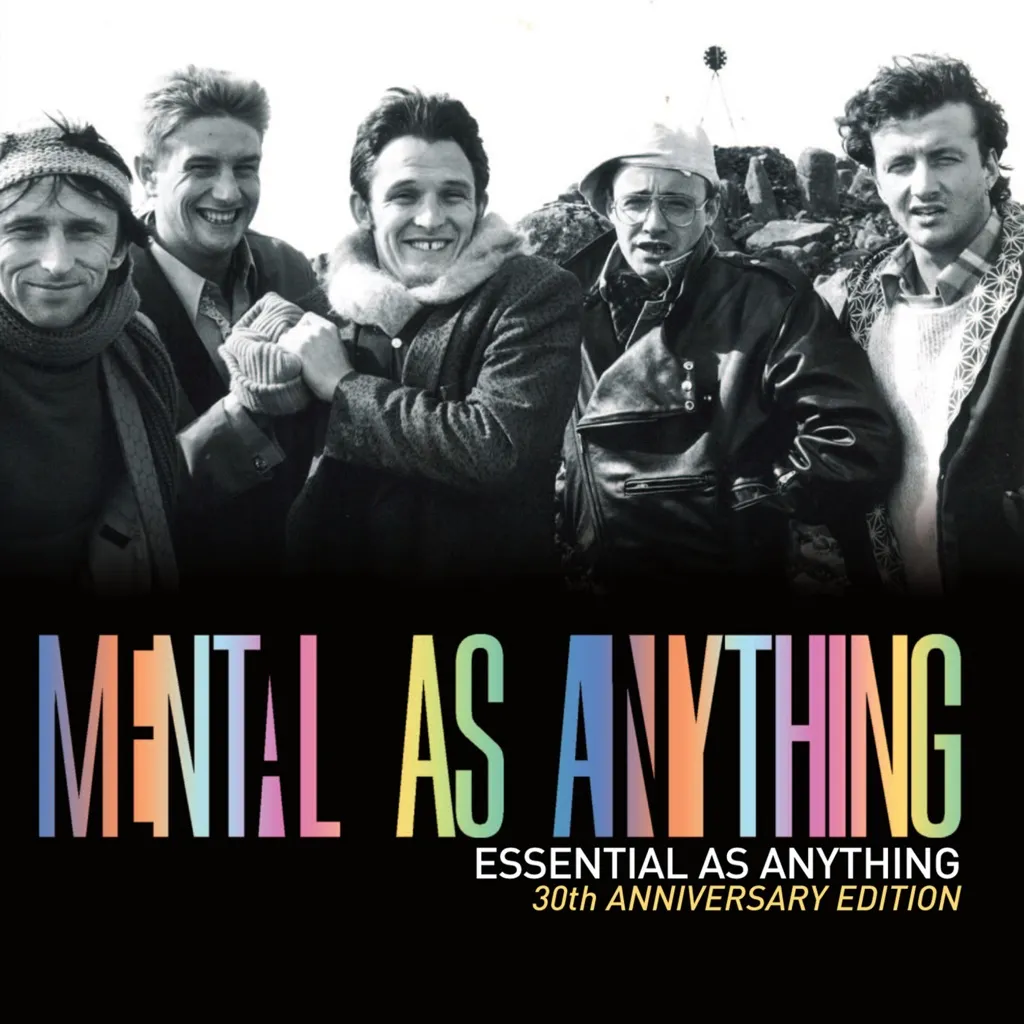 Working For The Man by Mental As Anything cover