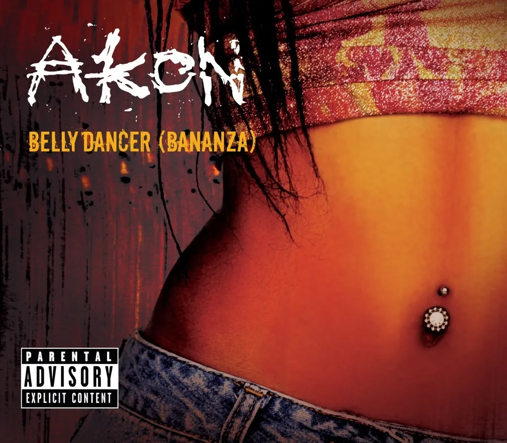 Belly Dancer (Bananza) by Akon cover