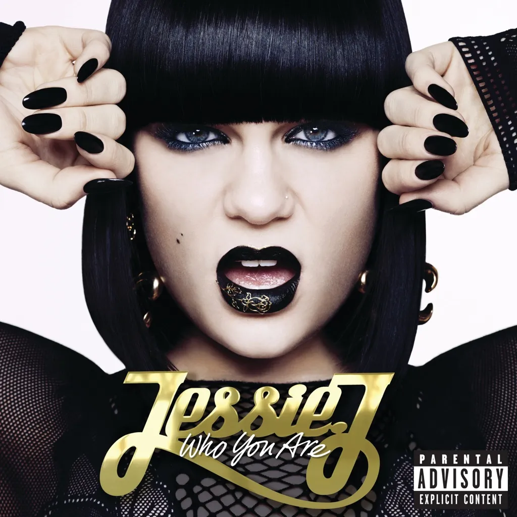 Price Tag by Jessie J feat. B.O.B. cover