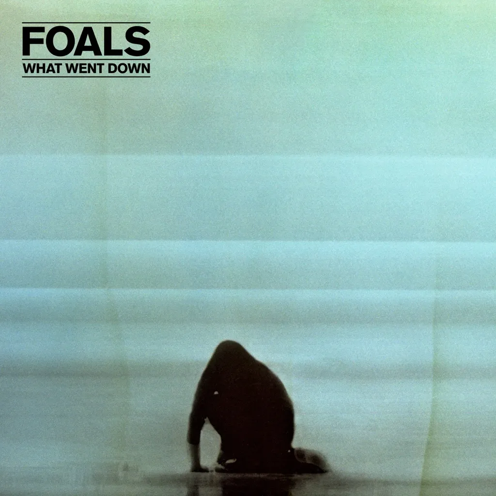 What Went Down by Foals cover