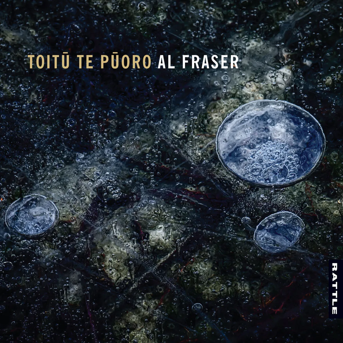 Toitu¯ Te Pu¯oro by Al Fraser cover