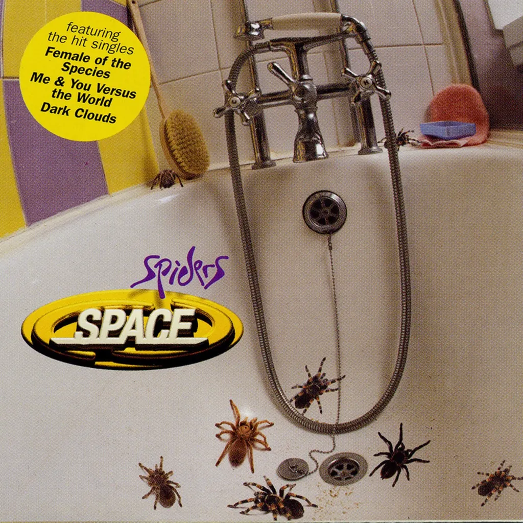 Spiders by Space cover