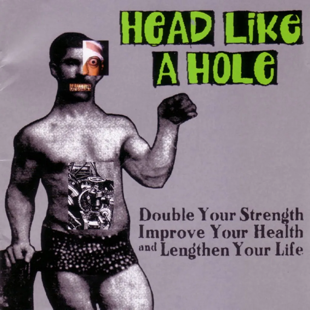 Double Your Strength, Improve Your Health and Lengthen Your Life by Head Like A Hole cover