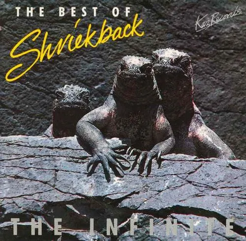 The Infinite: The Best Of by Shriekback cover