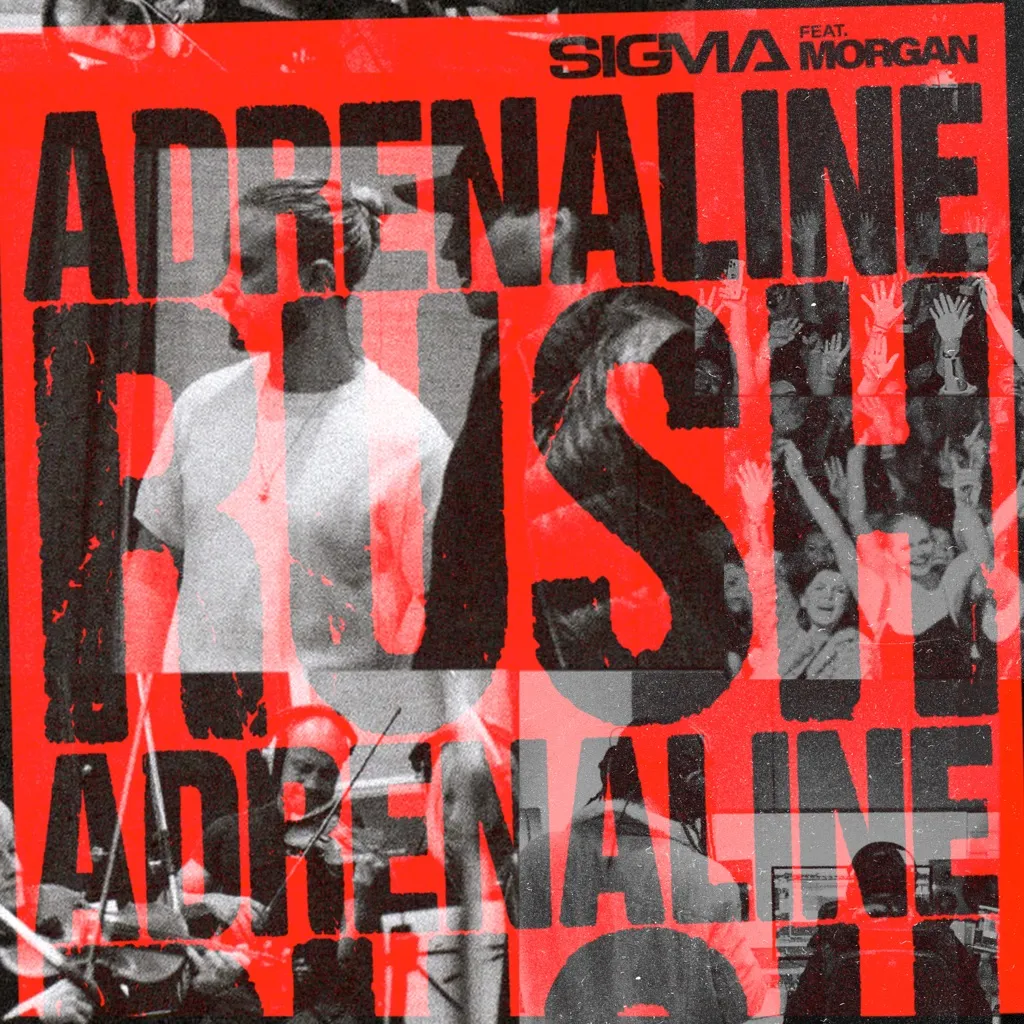 Adrenaline Rush by Sigma feat. Morgan cover