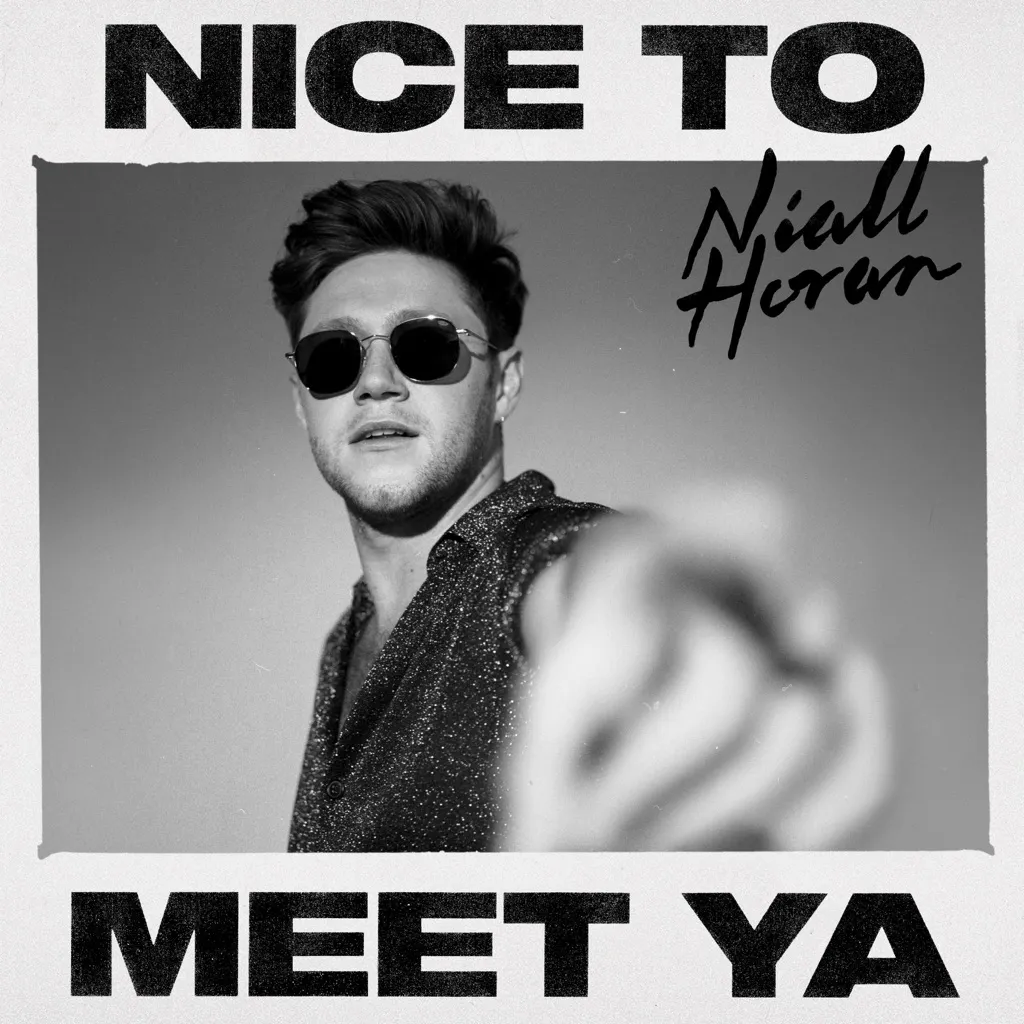 Nice To Meet Ya by Niall Horan cover