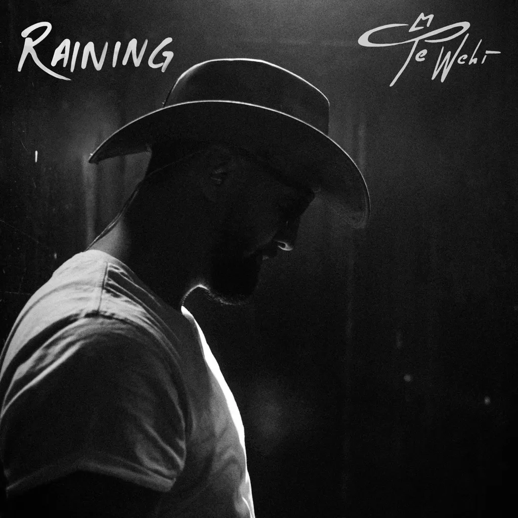 Raining by Te Wehi cover