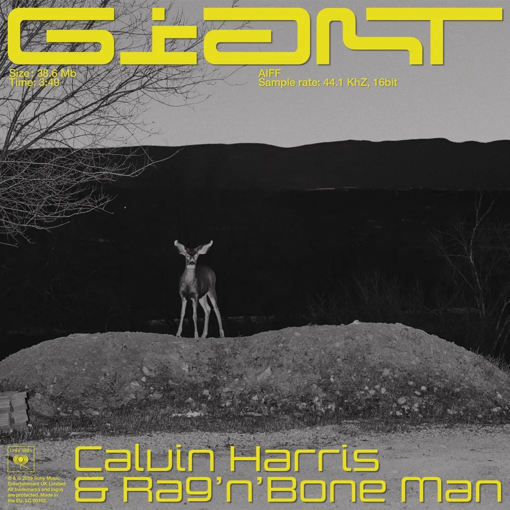 Giant by Calvin Harris feat. Rag'n'Bone Man cover