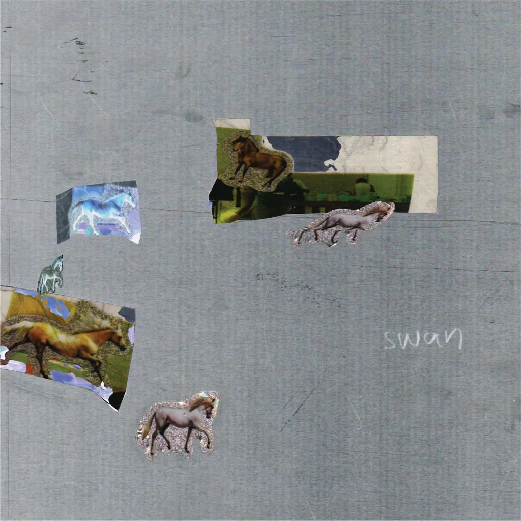 swan by Fazed On A Pony cover