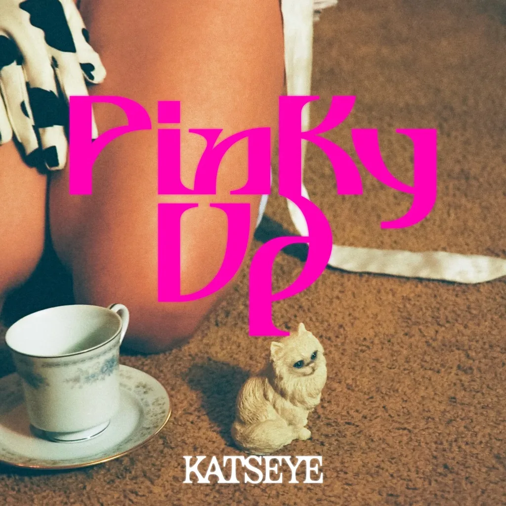 Pinky Up by KATSEYE cover