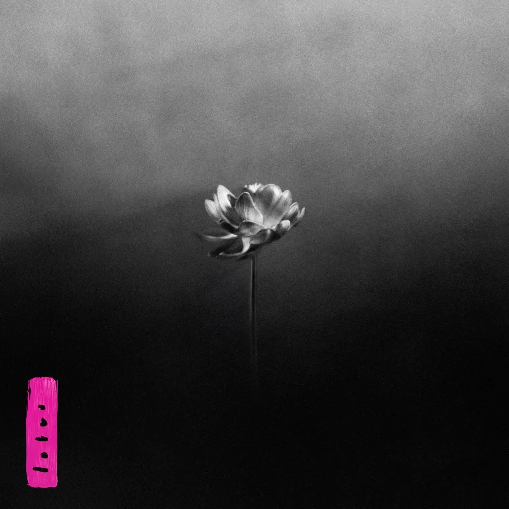 Lotus by Little Simz cover