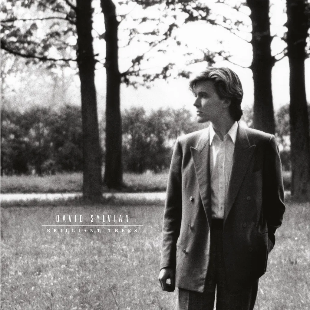 Brilliant Trees by David Sylvian cover