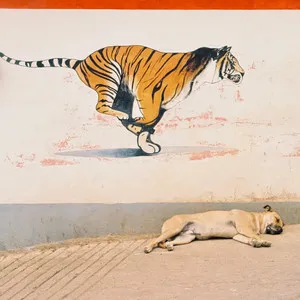 Piñata Head by There's A Tuesday cover