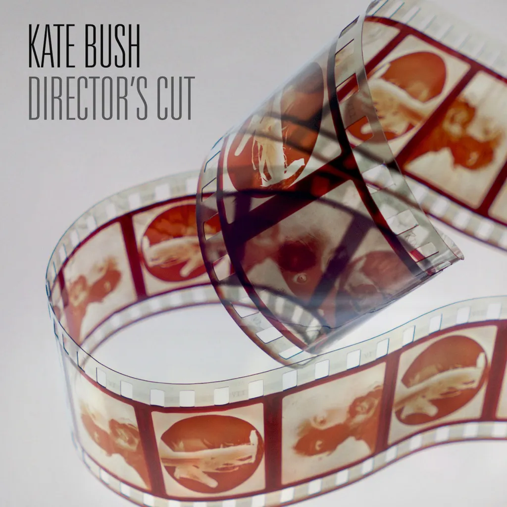 Director's Cut by Kate Bush cover