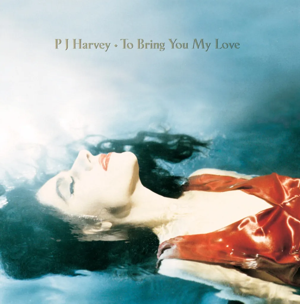 To Bring You My Love by PJ Harvey cover