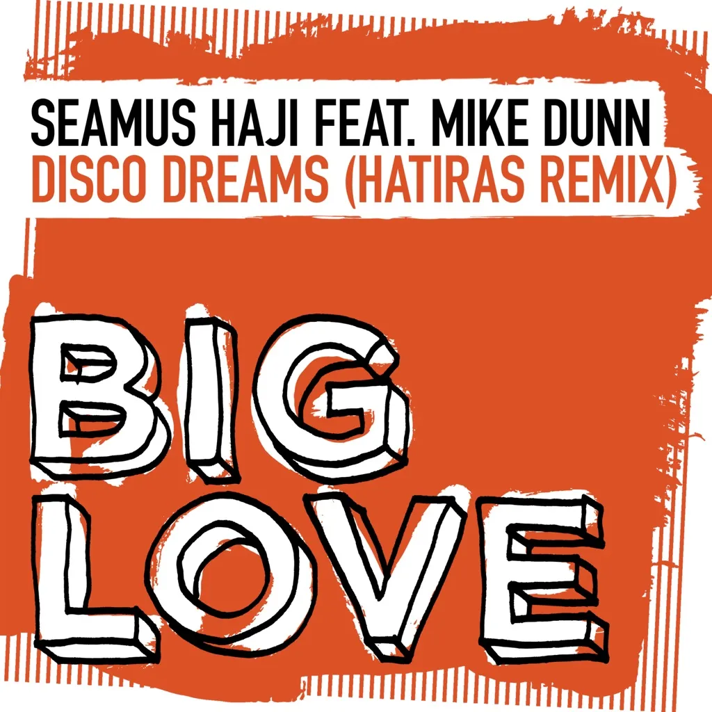 Disco Dreams by Seamus Haji feat. Mike Dunn cover