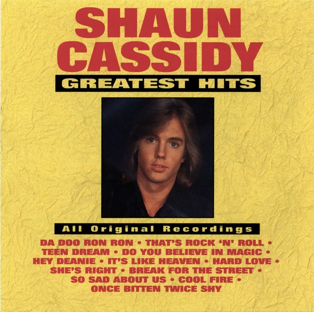 Da Doo Ron Ron by Shaun Cassidy cover