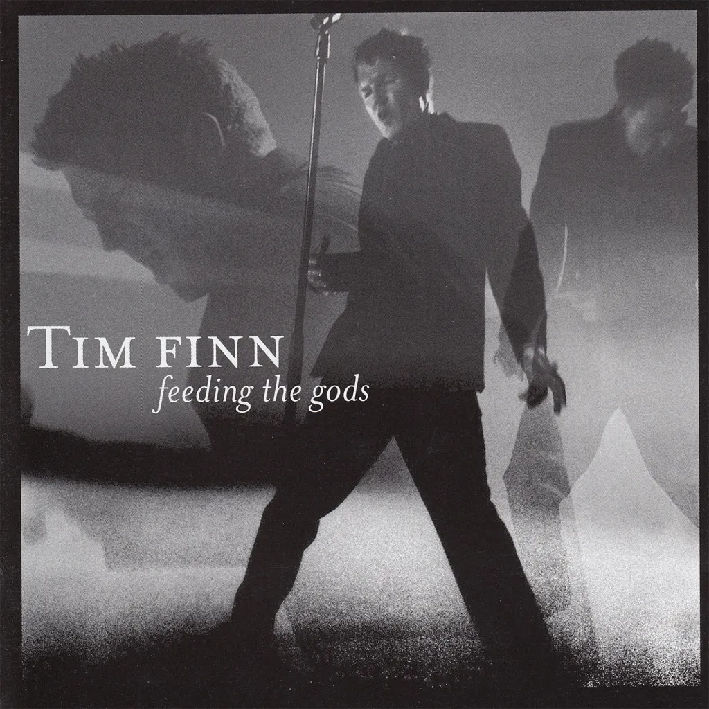 WHAT YOU'VE DONE by Tim Finn cover