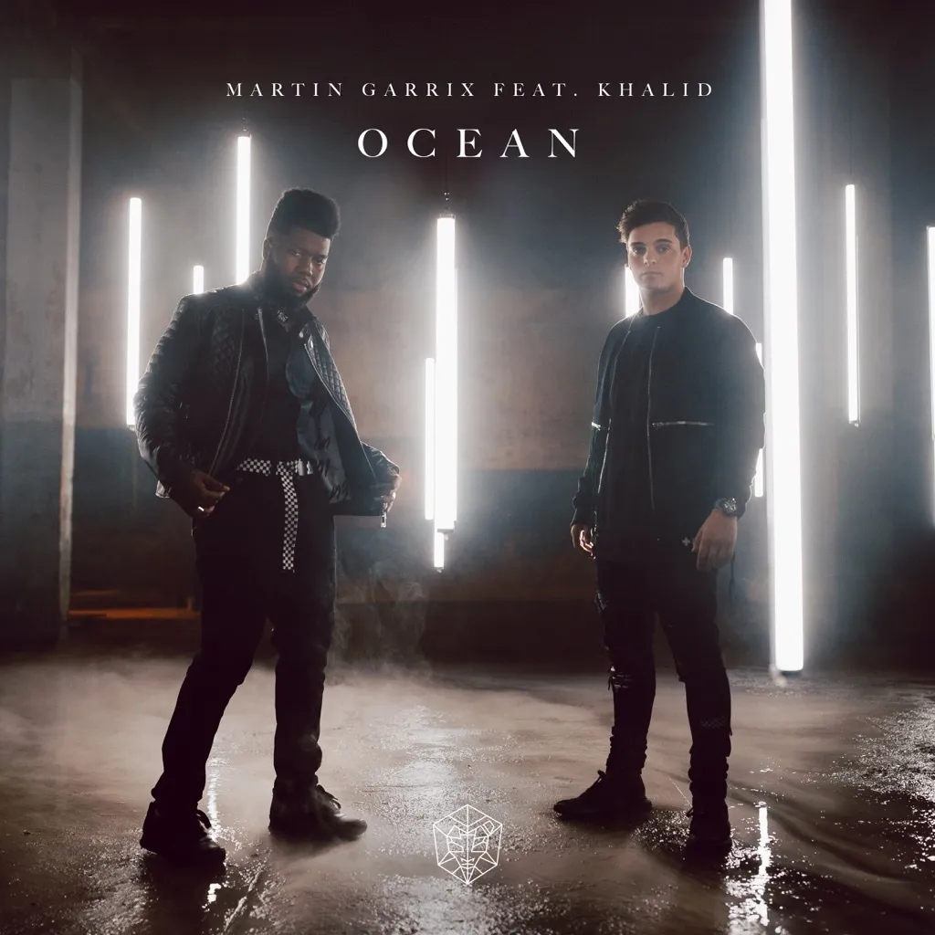 Ocean by Martin Garrix feat. Khalid cover